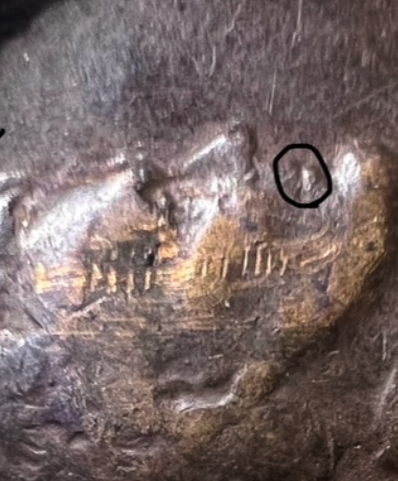 1955-D-Mint-Damage-Jammed-Coin?