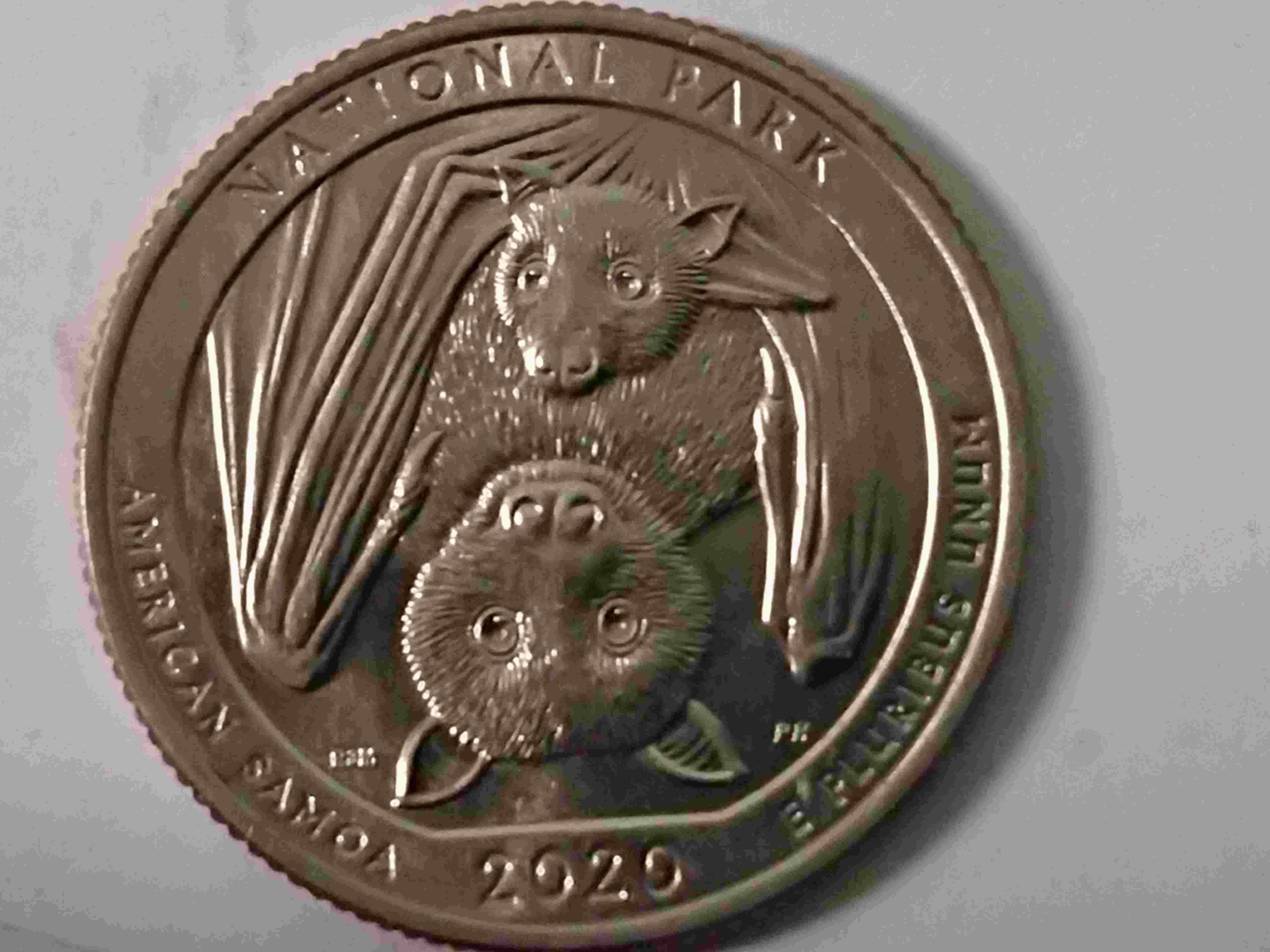 2020-American-Samoa-W-DDR?