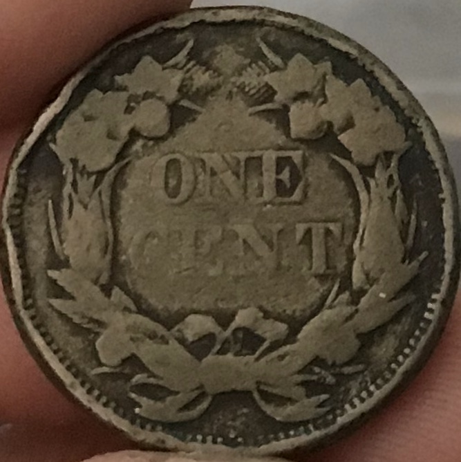 Yet-Another-Forum-Game---Numismatic-Go-Fish!