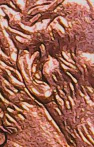 1997-P-Lincoln-Memorial-Cent-Possible-Ear-Error