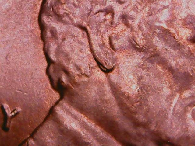 2019-P-Shied-Cent-Doubled-Ear-Help
