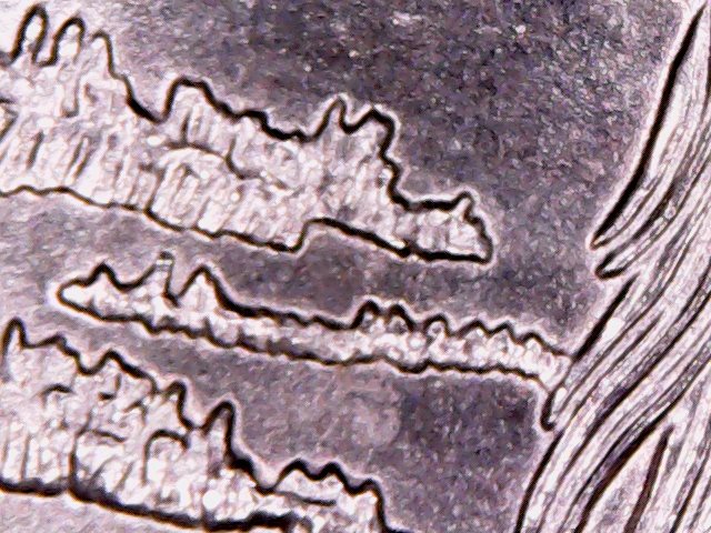 2015-Bombay-Hook-Quarter