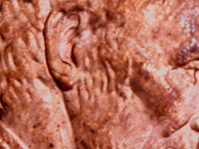 1997-D-Lincoln-Penny-Doubled-Ear