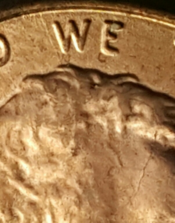 Need-Help-With-Picture-Focus-And-Lighting