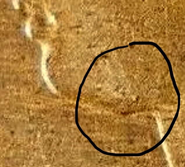 1861-Nova-Scotia-Lg-Cent---Imposter?