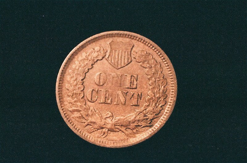 51-Days-Of-Flying-Eagle-And-Indian-Head-Cents!---Part-4!!