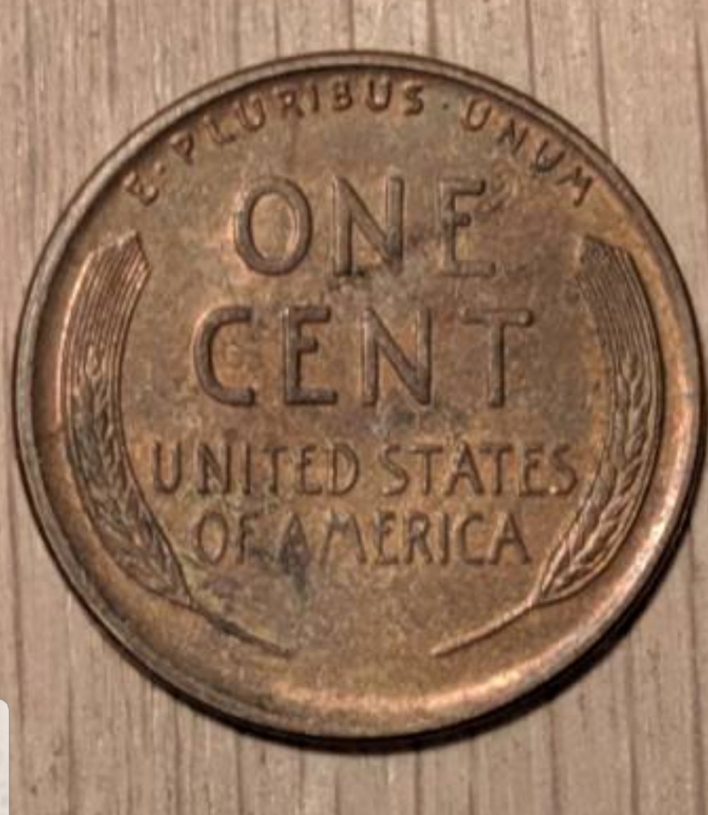 1919-S-Lincoln-Cent-For-Grading