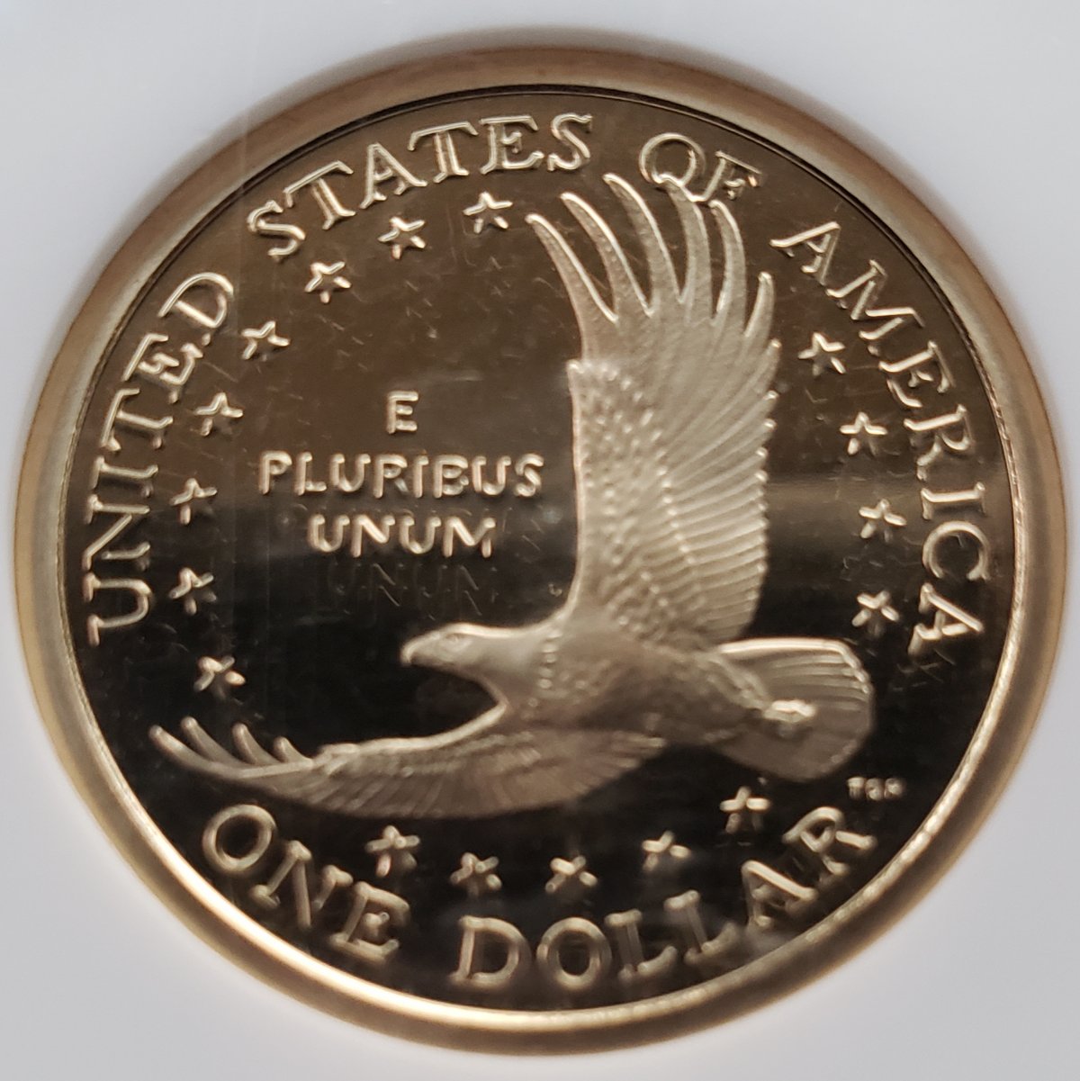 You-Vs.-NGC-2006-S-Sacagawea-Dollar