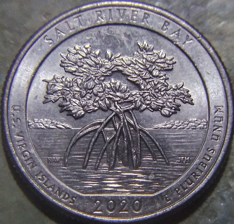 2020-Salt-River-Bay-Quarter-DDO-001-Found