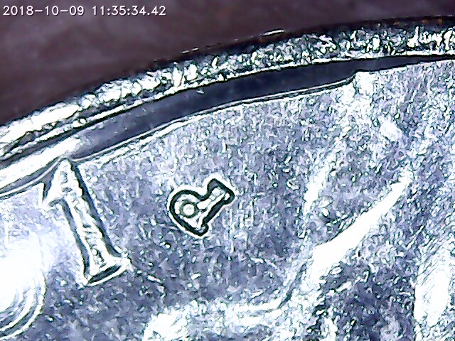 1981-P-Nickel...with-Error?