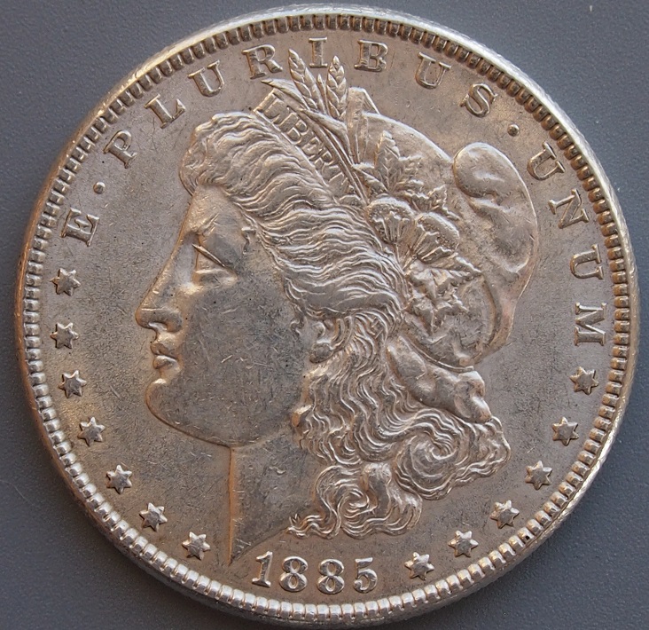 Morgan-#14,-1885-P,-Please-Grade