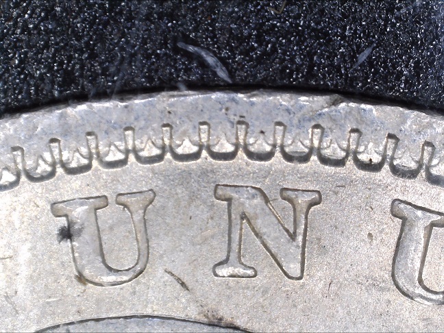 1883-O-VAM-4-Denticle-Impressions