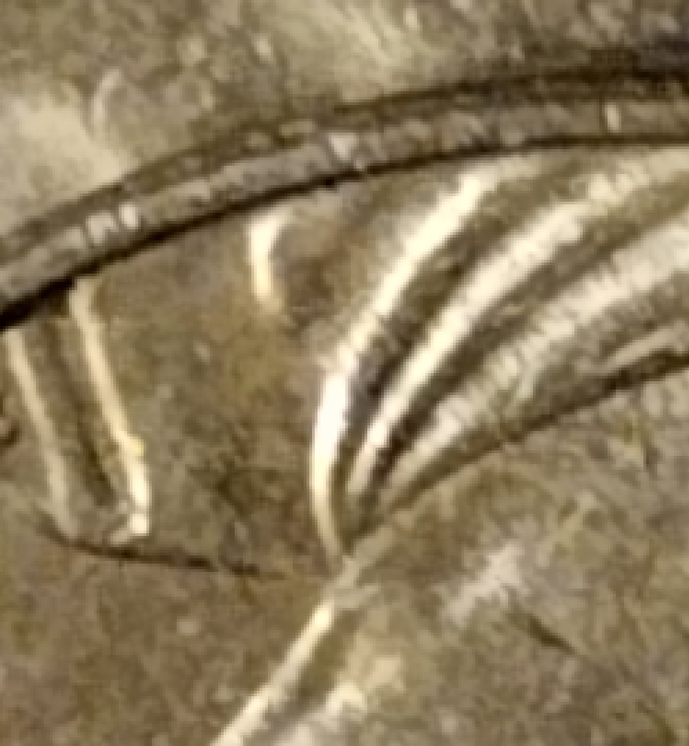 2005-Buffalo-Nickel-In-Roll-Today-No-Spear.