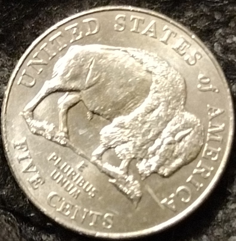 2005-Buffalo-Nickel.-What-Is-Going-On-With-The-Reverse?