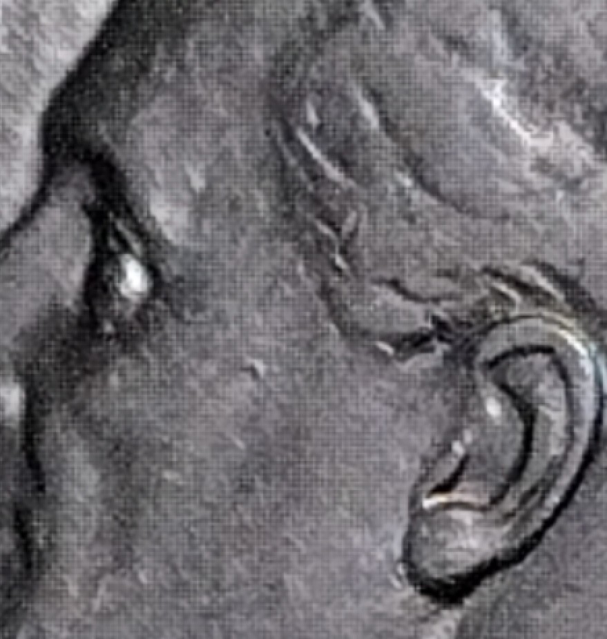 1988-P-Dime.-Opinions-On-What-You-See-Happening-Here.