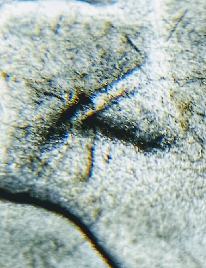 Cracked-Die-On-1922-Peace-Dollar
