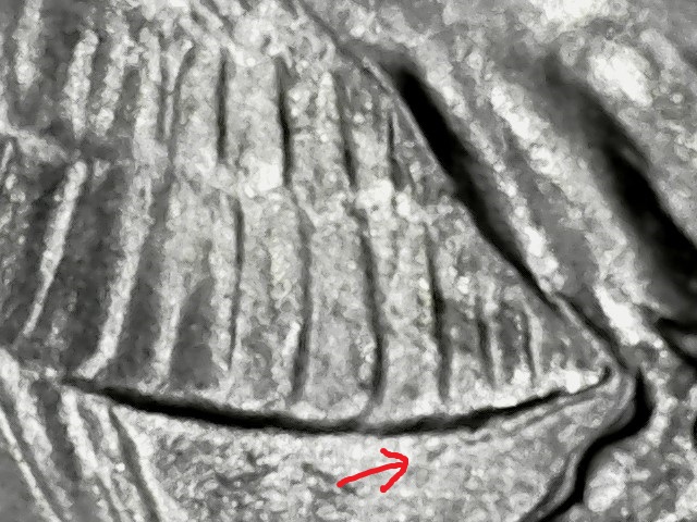 1969-D-Washington-Quarter...possible-Errors