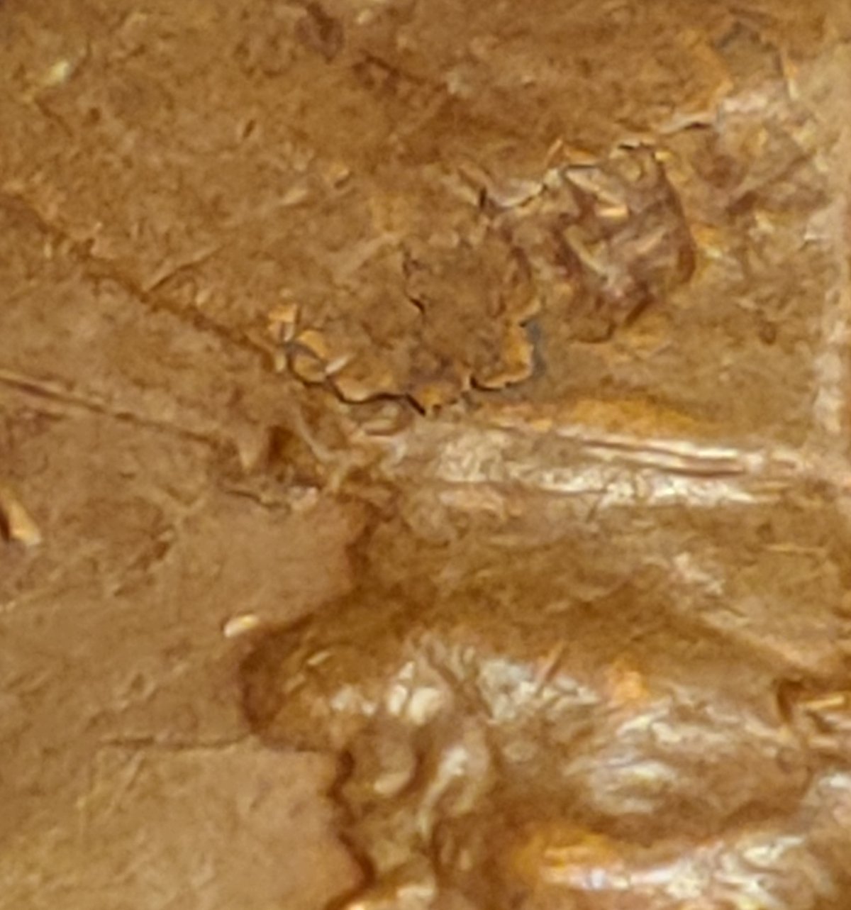 1973-D-LMC-Ellamination-Peel-Obverse