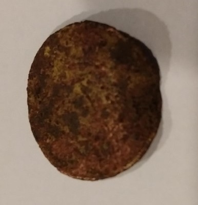 What-On-Earth-Have-I-Found?