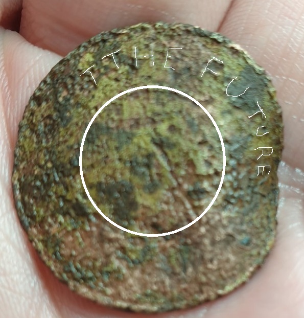 What-On-Earth-Have-I-Found?
