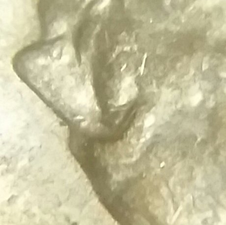 89-LMC-Doubled-Die-Or-Double-Eyed?