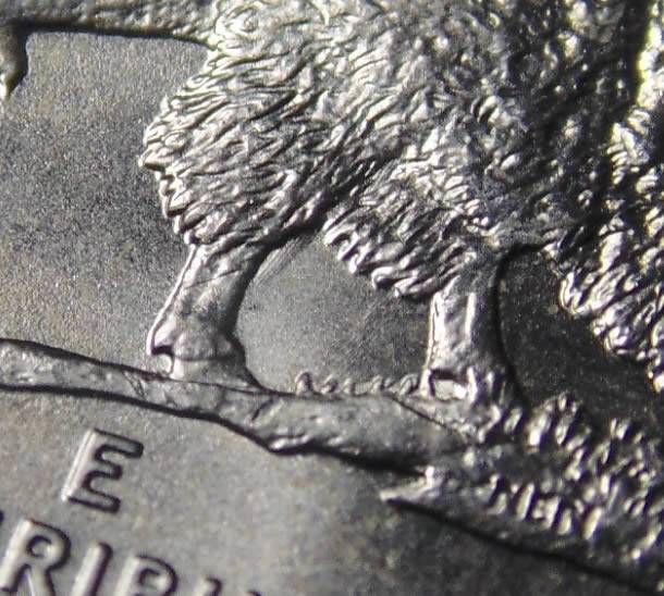2005-Bison-Nickel-Die-Scrape/Gouge?