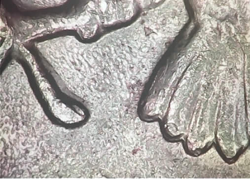 A-Lot-Of-Kennedy-Halfs-With-Errors