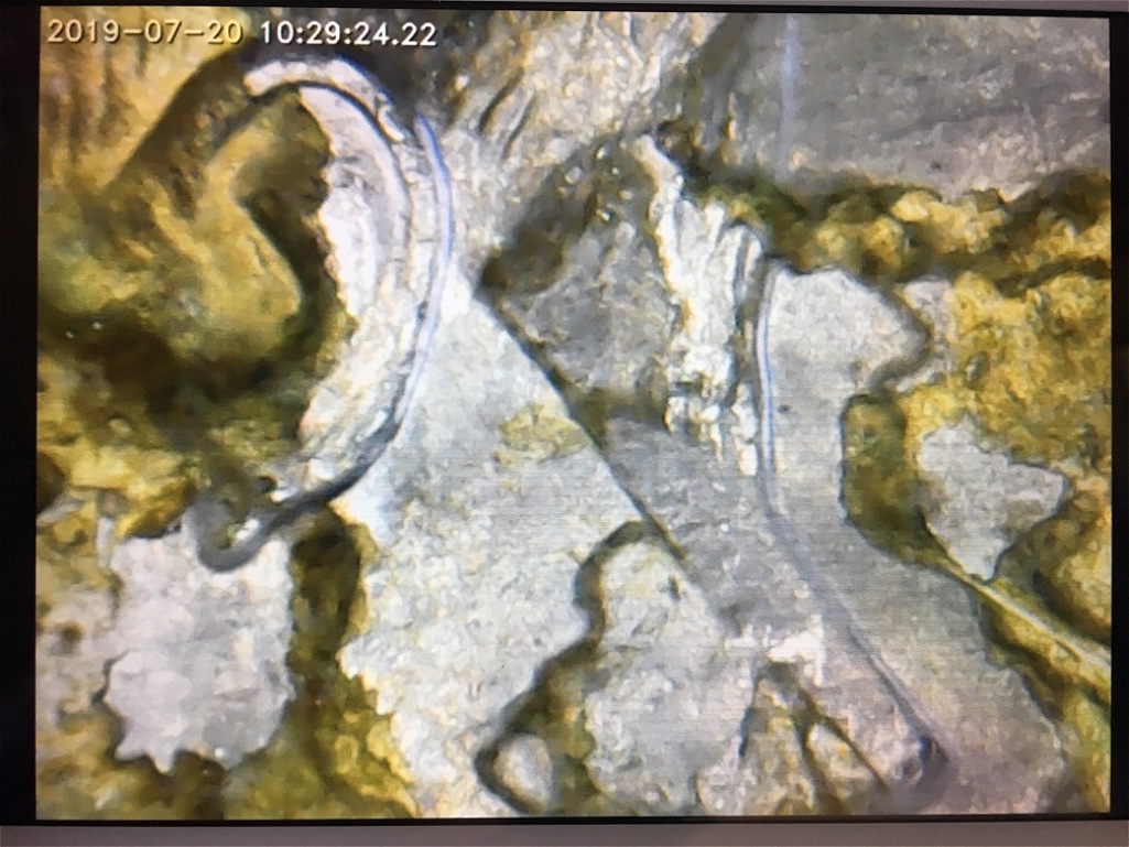 1995-D-Kennedy-Half-Struck-Through-Gold-Coin?