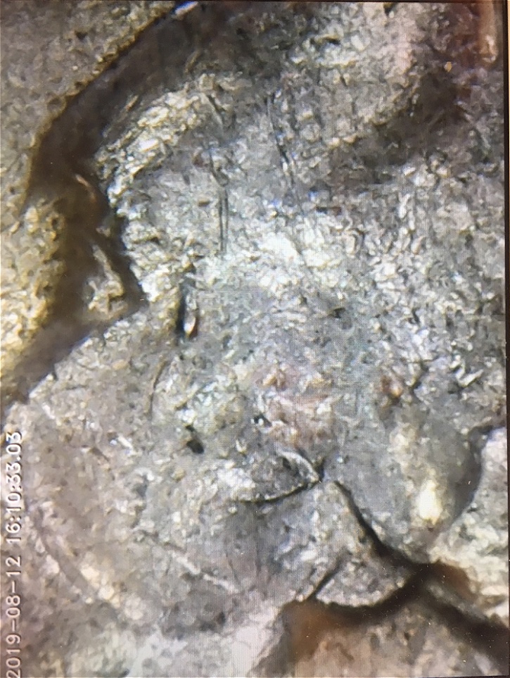 1964-P-Quarter,-Capped-Die-Or-Broadstruck?