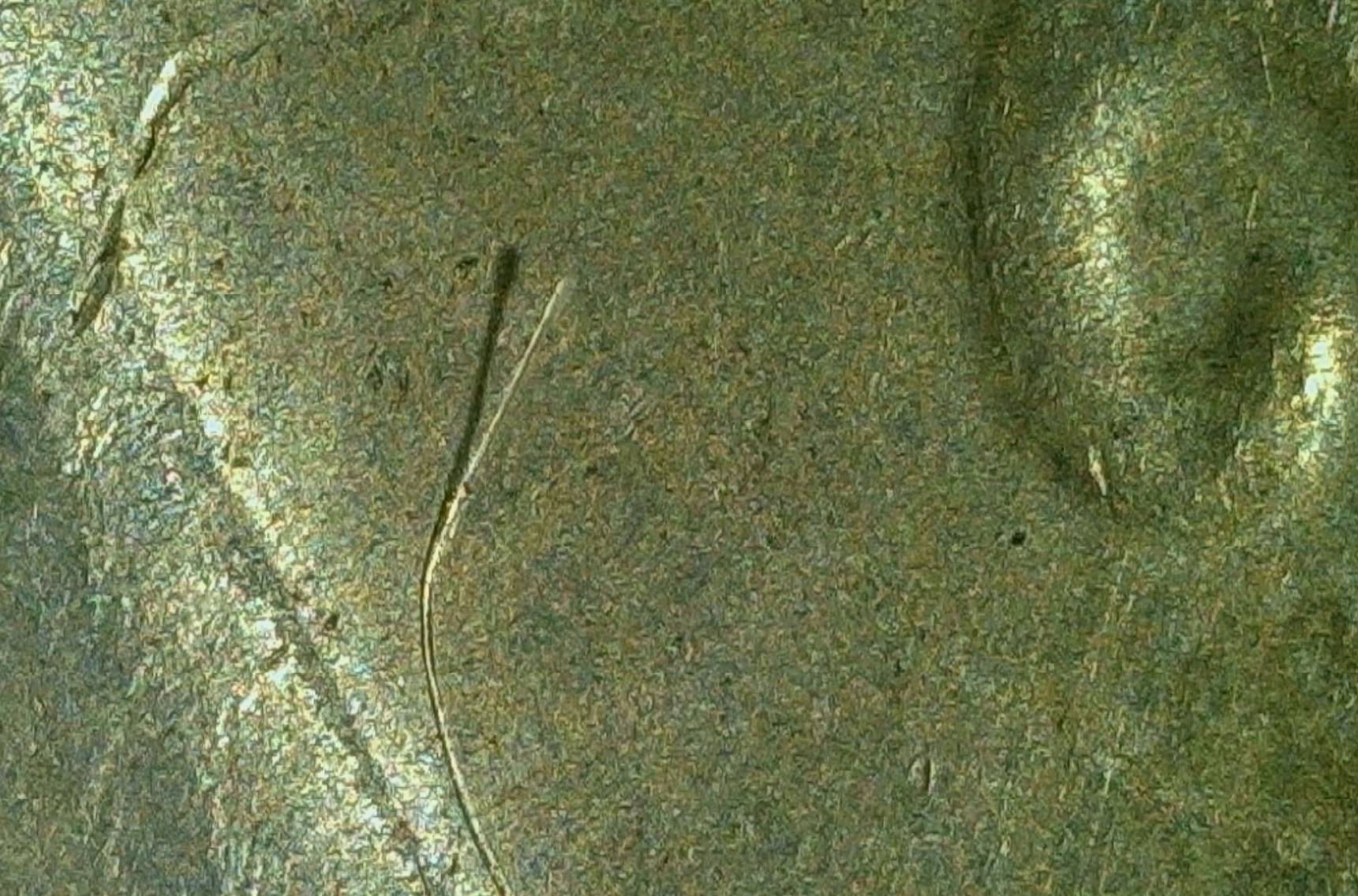 1923-S-Peace-Dollar-Either-Multi-Struck-As-Well-As-Struck-Through-Debris?