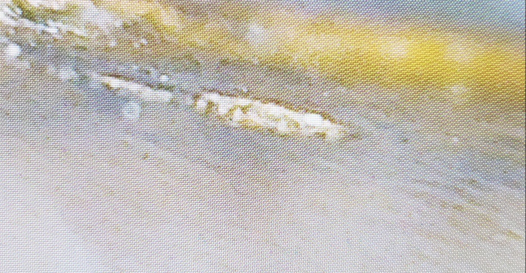 2000-Penny---Odd-Marking-To-Left-Of-In-God-We-Trust