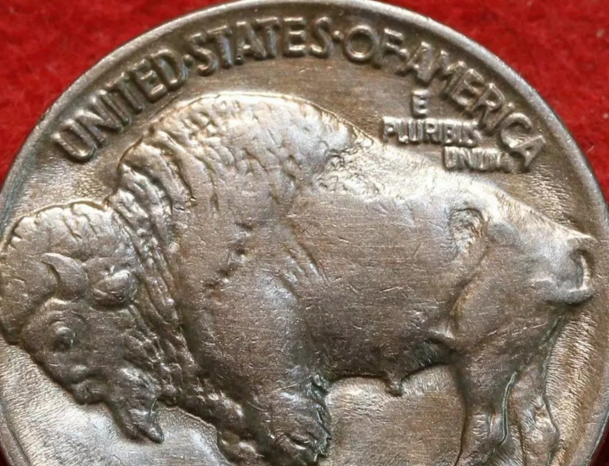 1936-D-Buffalo.-Rare-?-Mile-High-Doubling.-Can-Even-See-With-My-Pic's-Lol