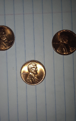 My-First-Red-Wheat-Pennies.-3-In-One-Box..
