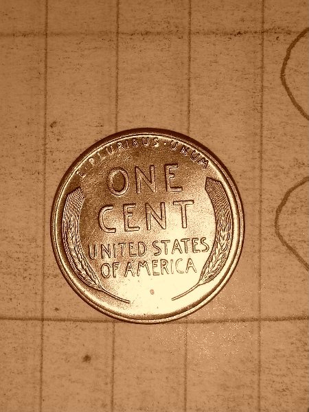 My-First-Red-Wheat-Pennies.-3-In-One-Box..