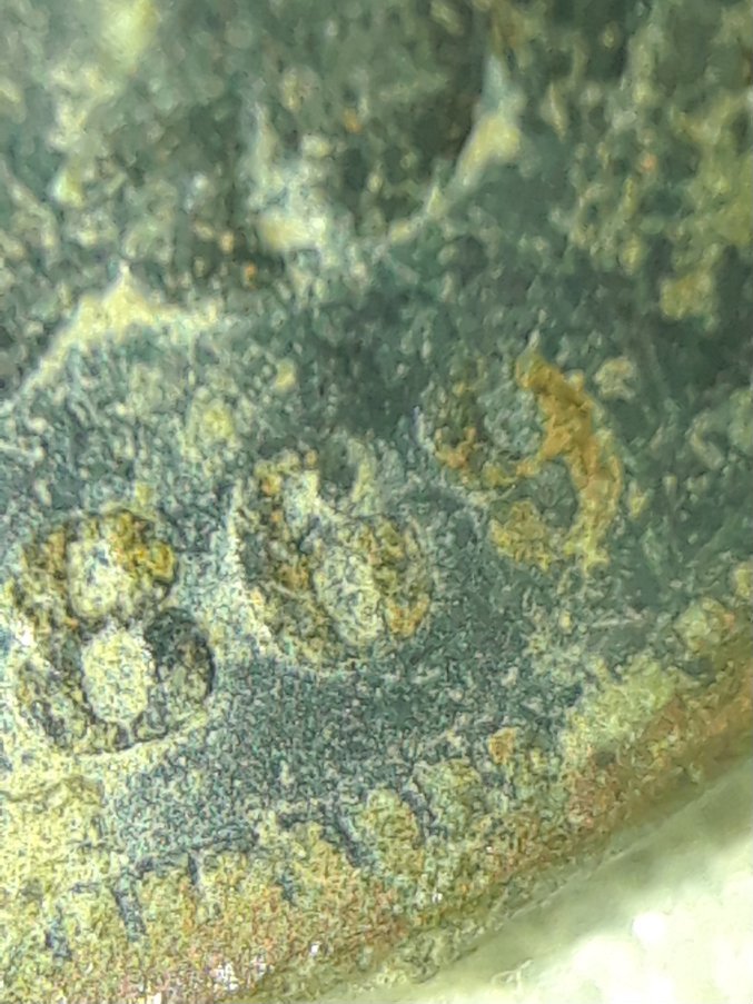 Is-This-1869-Indian-Head-Cent-Worth-Keeping?