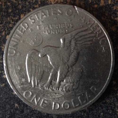Eisenhower-Friendly-Eagle?