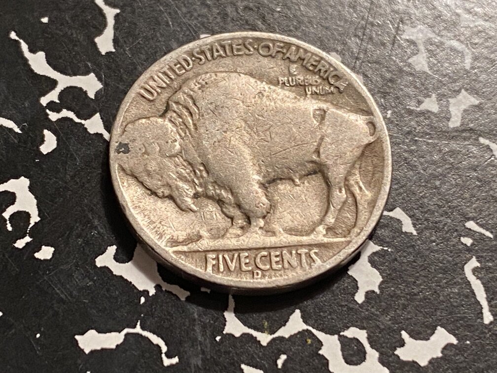 1936-D-Buffalo-Nickel-For-Grading