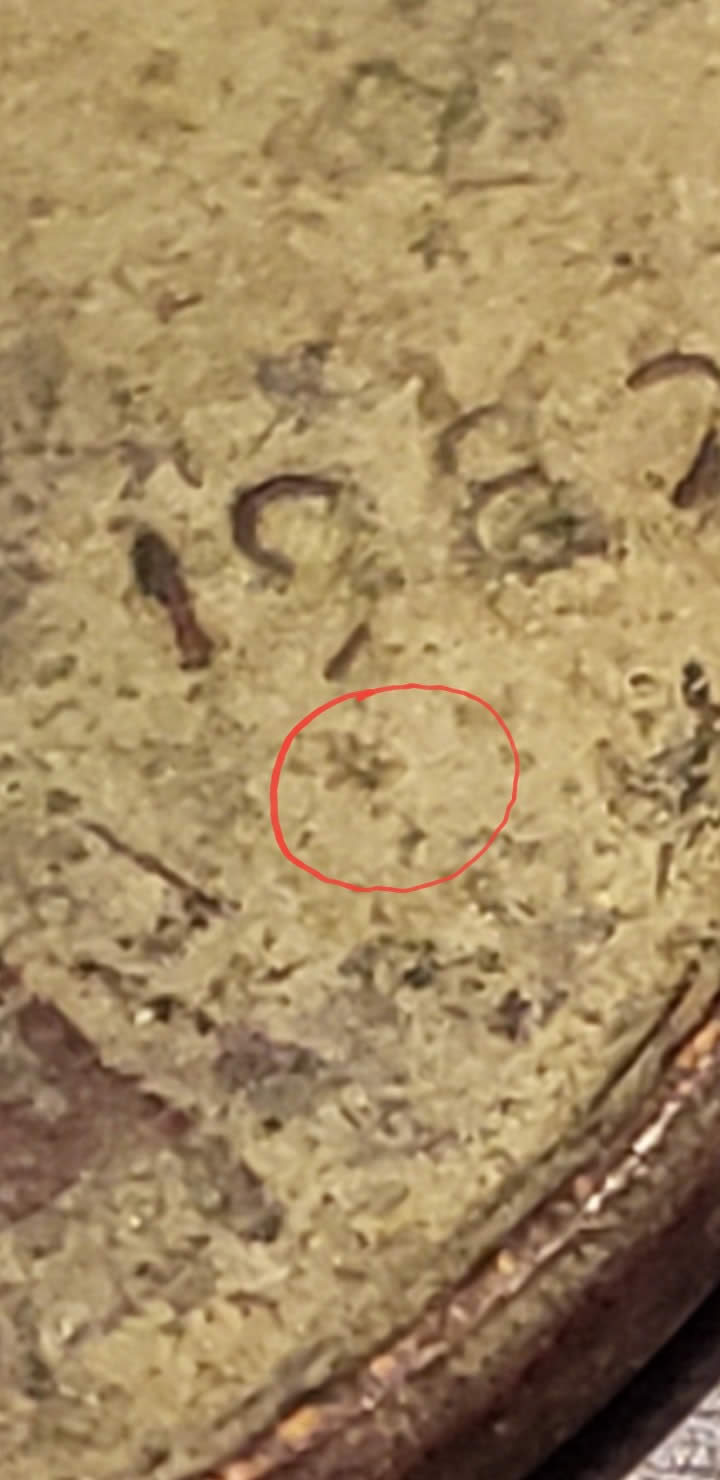1982-Penny-Questions