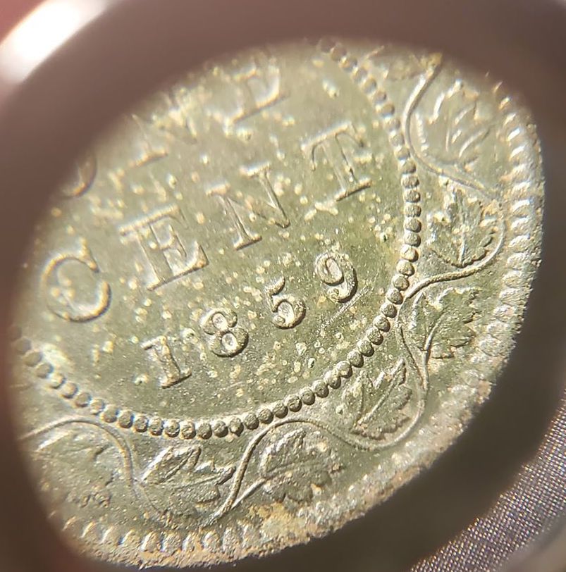 Metal-Detecting-Find---1859-One-Cent