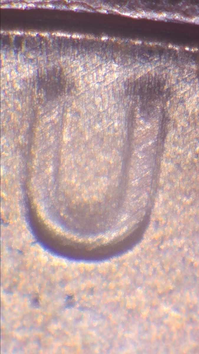 2019-D-Lincoln-Cent-Possible-DDO-Please-Verify