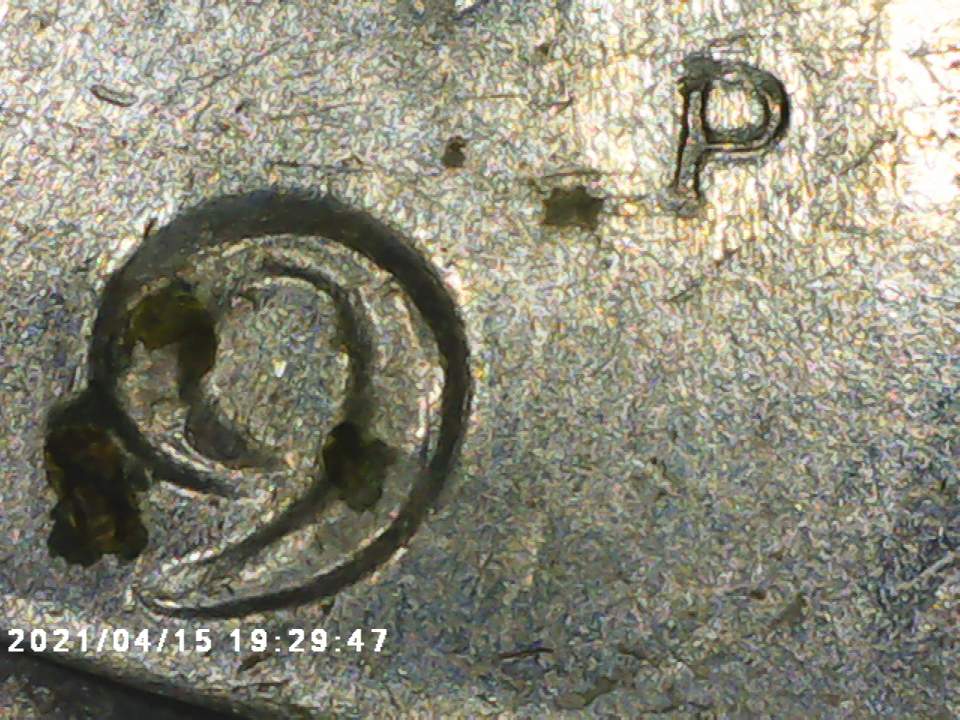 198?-P-Kennedy-Half-Dollar-Clipped-Planchet,-Anything-Else?