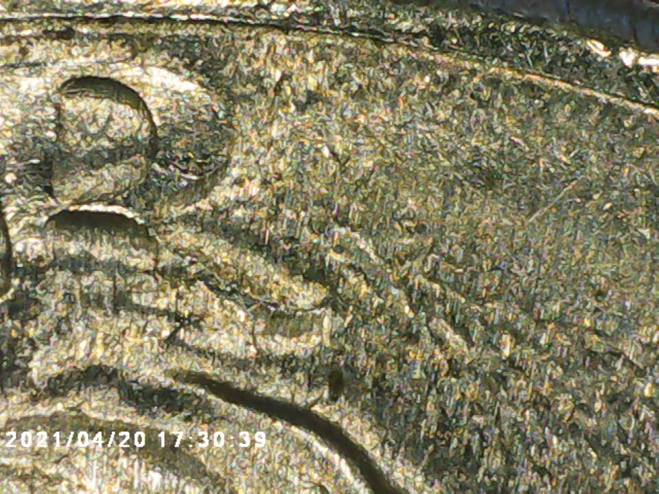 What-Happened-To-Mr.-Kennedy?-Struck-Through?-Deterioration?