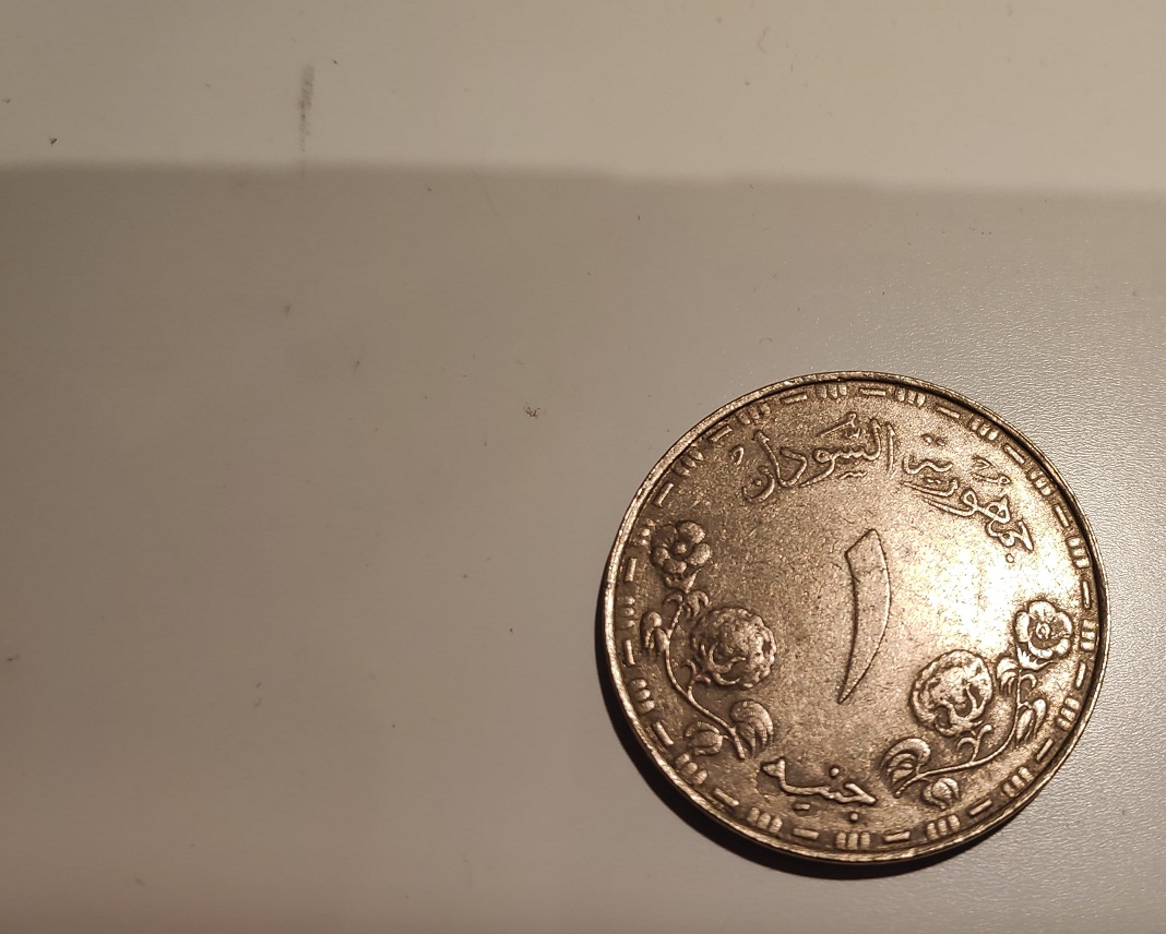 Need-Help-In-The-Coin-Identification-1987-Sudan-1-Pound