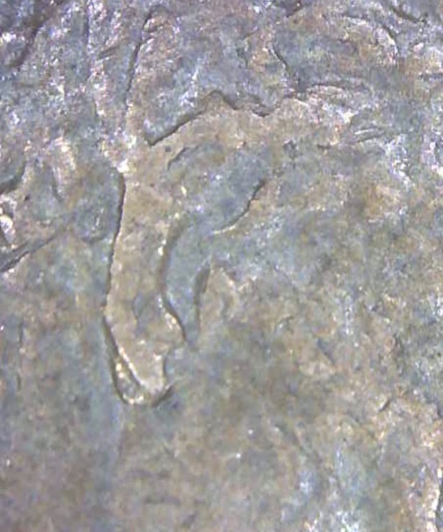 Is-This-A-Doubled-Ear-On-The-Obverse-Of-1974-D-LMC?