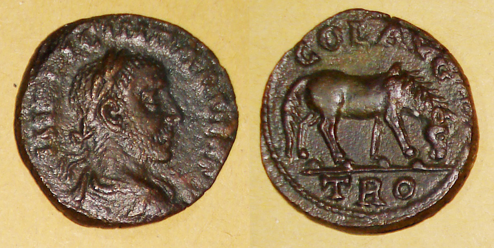 My-First-Animal-On-A-Coin.