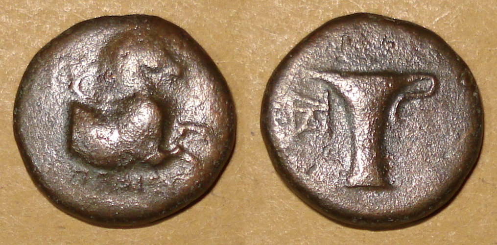 My-First-Animal-On-A-Coin.