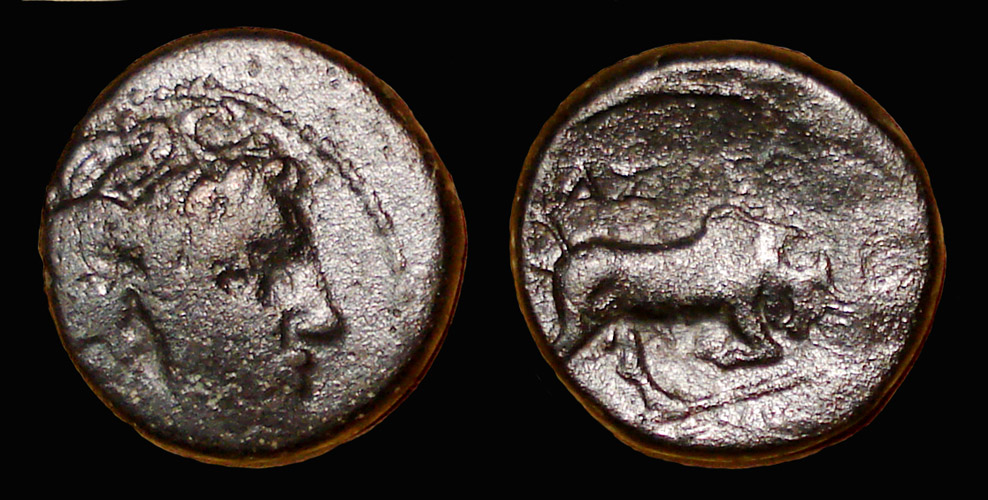 My-First-Animal-On-A-Coin.