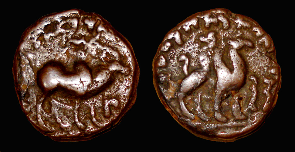 My-First-Animal-On-A-Coin.