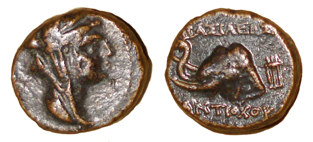 My-First-Animal-On-A-Coin.