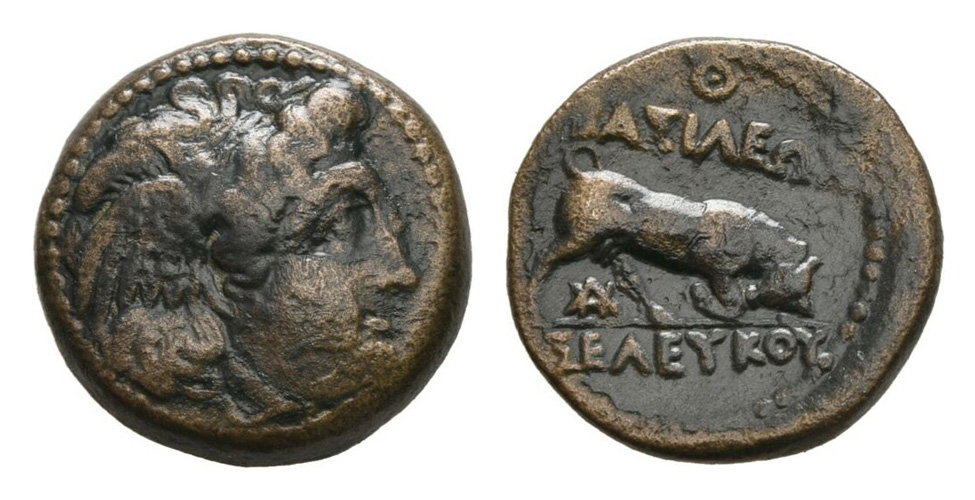 My-First-Animal-On-A-Coin.